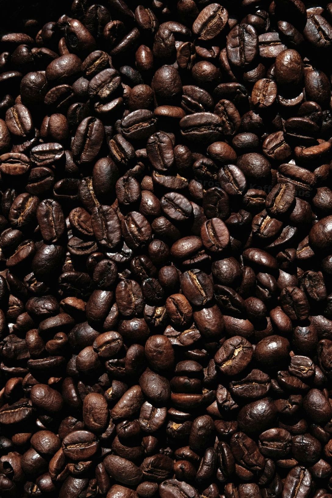 Morgenröstung Kaffeehaus 3
