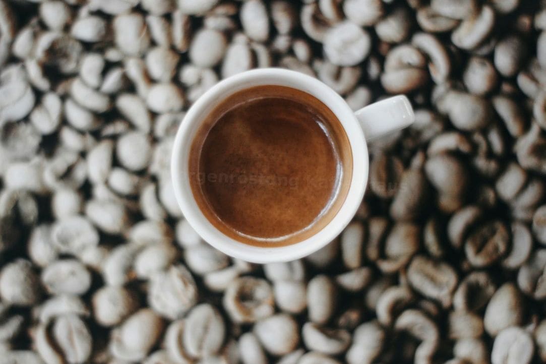 Morgenröstung Kaffeehaus 7