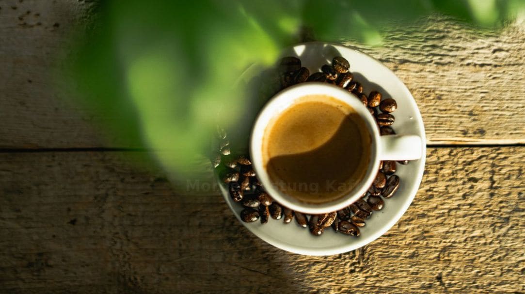 Spezialitätenkaffee zum Mitnehmen